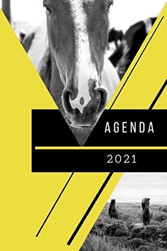 Agenda 2021: Agenda Semana Vista -enero 2021 - Enero 2022- |