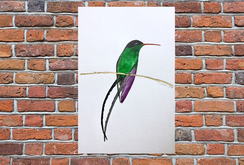 Vinilo Decorativo 20x30cm Pajaro Colibri Ave Natura M7