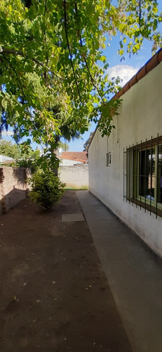 Imagen 4 de 13 de Ph Tipo Casa 3 Amb Merlo Centro