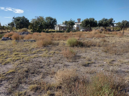 Imagen 5 de 6 de Vendo Lote De 1000 Metros Cerrito