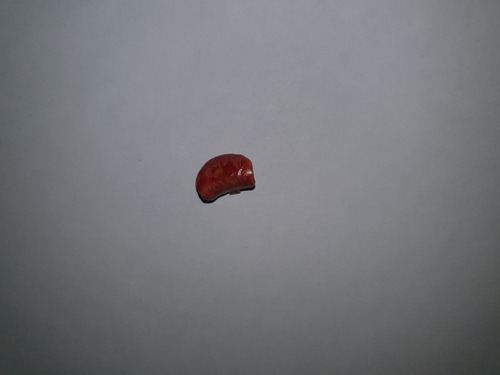 Hot Toys Terminator Dx10 Accesorios Cabeza (Usado)