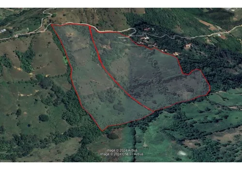 Vendo Finca De 30 Cuadras En Damasco Para Ganadería Cerca La Pintada