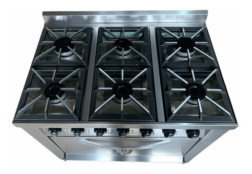 Cocina industrial Rovesco Fiama multigas 6 hornallas plateada puerta ciega