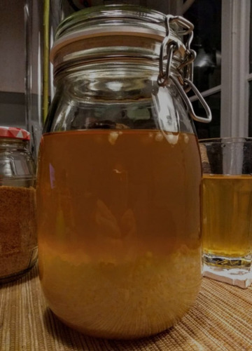 Nódulos De Kefir De Agua - Envios A Todo El Pais