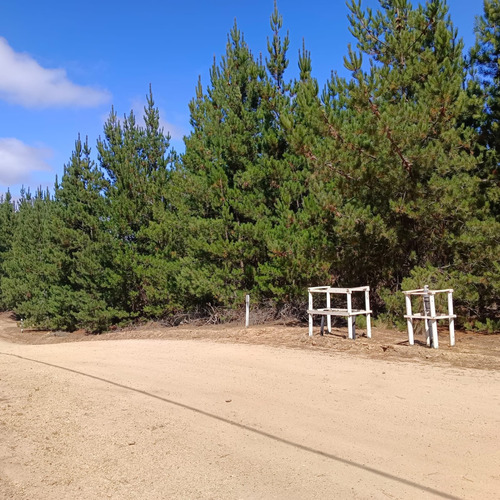 Parcela En Condominio Loma Verde 5.000 M2 Algarrobo