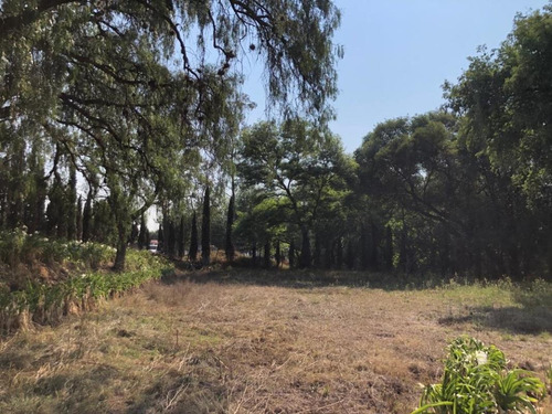 Imagen 7 de 9 de Terreno En Venta En Tepotzotlán La Zopilotera