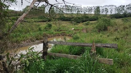 Vende-se Sítio Com Área Total De 14.6 Hectares