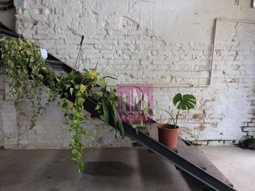 Imagem 6 de 15 de Galpão Para Alugar, 600 M² Por R$ 45.000/mês - Vila Mariana - São Paulo/sp - Ga0182