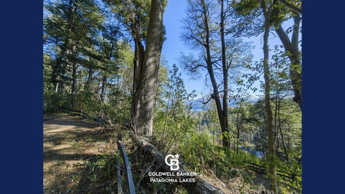 Imagen 4 de 23 de Venta Lote/terreno Fracción De 6500,24 M2 Vista Al Lago Faldeo Del Bayo Villa La Angostura