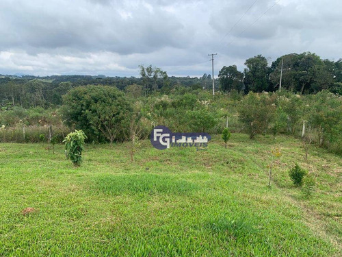 Imagem 5 de 15 de Chácara À Venda, 20658 M² Por R$ 749.500,00 - São Sebastião - São José Dos Pinhais/pr - Ch0049