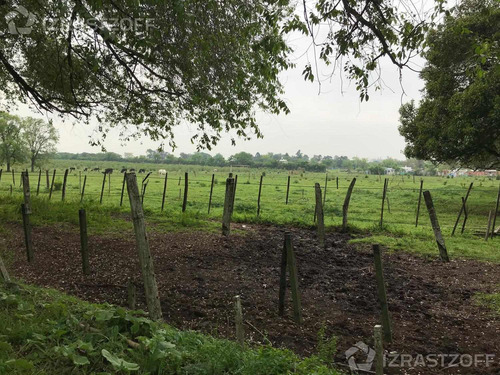 Imagen 8 de 10 de Terreno - Pilar