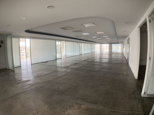 Oficina En Renta En Lomas Altas Torre Quadrata (m2o2439)