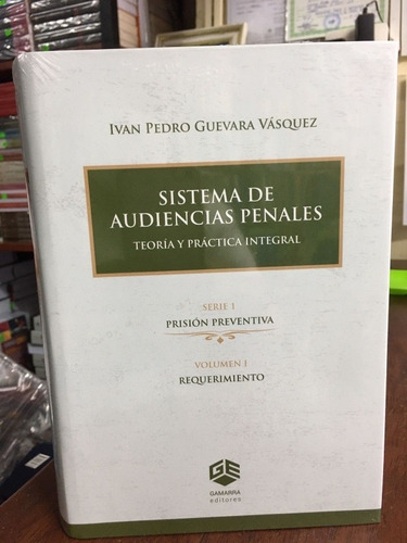 Sistema De Audiencias Penales. Teoría Y  Práctica. Original 