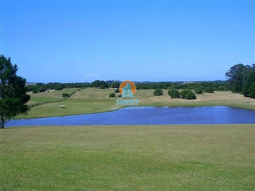Espectacular Chacra En Jose Ignacio Compuesta Por 4 Casas Alquiler Anual- Ref: 4