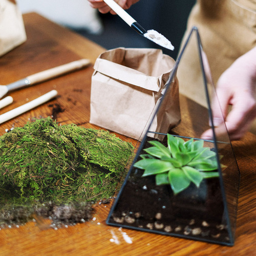Plantas Artificiales De Interior, Musgo Teñido De Verde, Mus