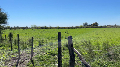 Imagen 5 de 20 de Chacra Sobre Ruta 20 Gualeguaychu!