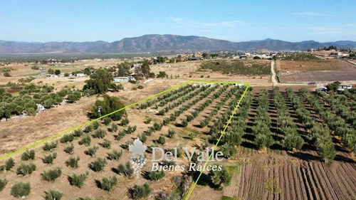Imagen 5 de 7 de 2.8 Hectáreas Cerca De Vinícola El Cielo En Valle De Guadalu