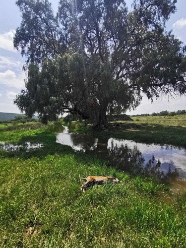 Construye Tu Casa Campestre De Tus Sueños Terrenos Accesible