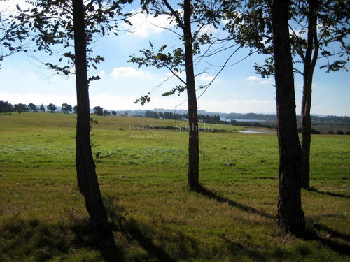 Lote Sobre Laguna De Los Cisnes Con Buena Financiación