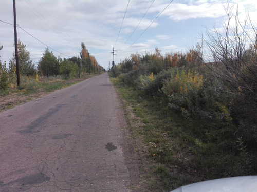 Imagen 6 de 14 de Finca 27 Hs En Gral.alvear, Pcia. De Mendoza