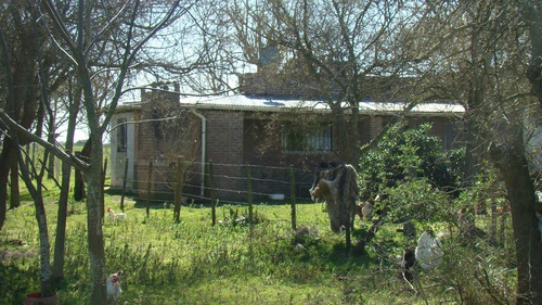 Imagen 9 de 14 de 195 Has Mixtas - R.payró, Magdalena, Buenos Aires