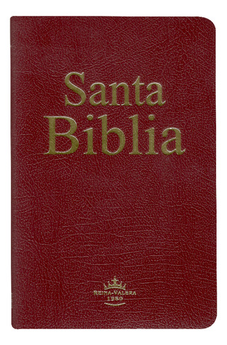 Biblia Reina Valera 1960 Ultra fina Imit. Piel Color Vino