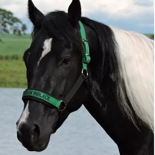 Cabresto para Cavalo Personalizado – Herts Brasil Rural