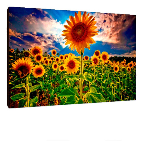 Cuadros Poster Flores Naturaleza Xl 33x48 (res (33))