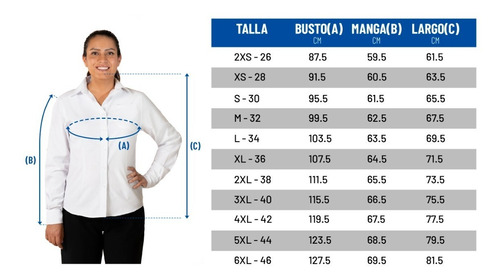 Imagen 6 de 6 de Blusa Formal Manga Larga