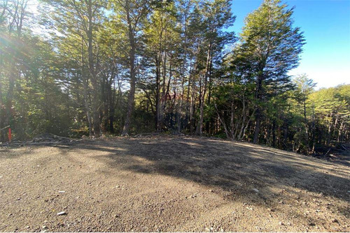 Venta Parcela Bosque Pucón