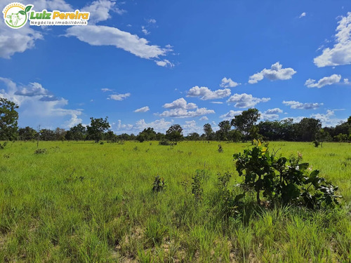 Imagem 2 de 10 de Fazenda À Venda Em Colinas - To - 498,53 Hectares (dupla Aptidão) - 2137