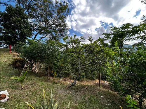 Se Vende Finca En Barragán