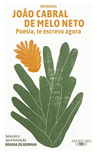 Libro Poesia, Te Escrevo Agora