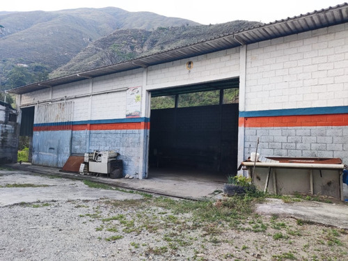 Imagen 12 de 28 de En Venta Galpón Y Terreno Ubicado En Ejido Sector Los Higuerones
