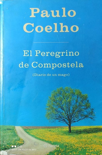 El Peregrino De Compostela ..