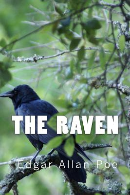 Libro The Raven (richard Foster Classics) - Poe, Edgar Al...