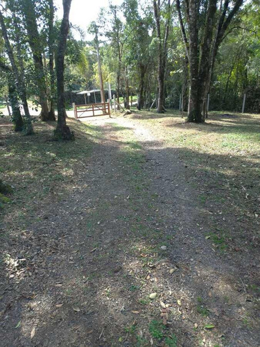 Imagem 11 de 15 de Sítio / Chácara Para Venda Em São José Dos Pinhais, Campo Largo Da Roseira, 3 Dormitórios, 1 Banheiro - 106_2-1239671