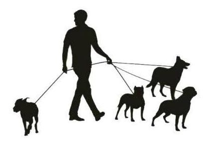 Imagem 1 de 1 de Passeador De Cachorro