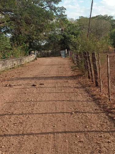 Imagen 14 de 14 de Finca 303 Hectáreas En Guárico, Vía Santa Rita.