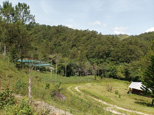 Terreno, Ideal Para Construir Cabañas O Villas