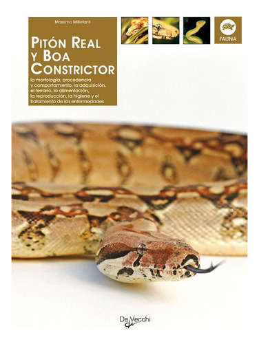 Piton Real Y Boa Constrictor