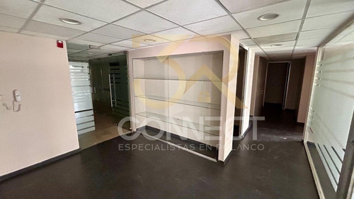 Oficina En Renta En Anzures 7c/3b/1e - Excelente Ubicación - 163m2