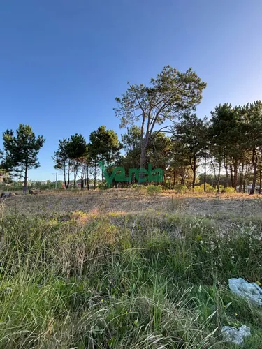 Terrenos En Venta Financiados Últimos En Montes De Solymar