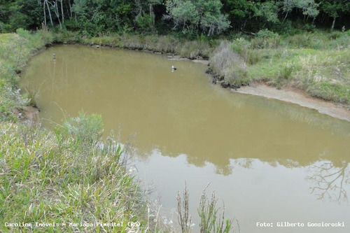 Imagem 1 de 15 de Sítio / Chácara Para Venda Em Mariana Pimentel, Linha Preta - Mariana Pimentel - 1256_1-542909