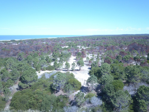 Imagen 8 de 19 de Solar - En Venta En La Viuda Punta Del Diablo A 150m De La Playa - Mza 253