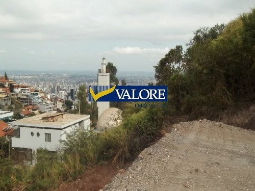 Lote, Mangabeiras, Próximo À Praça Do Papa - 8137