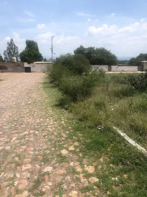 Terreno en renta