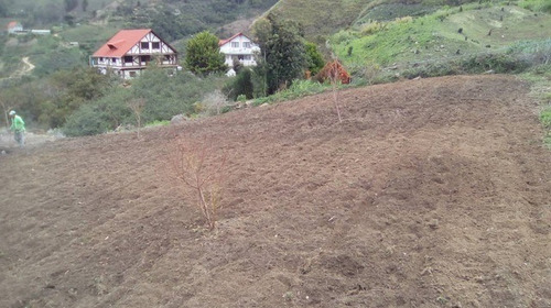 Imagen 13 de 21 de Se Vende Finca 20.748 M2 El Jarillo