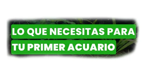 comprar Kit Para Peceras Tropicales Hasta 50 Litros Combo Accesorios