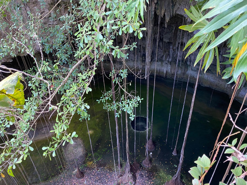 Increíble Terreno Con Cenotes En Venta Rodeados De Naturaleza En Valladolid, Ideal Para Desarrollador